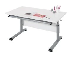 Paidi Schreibtisch MARCO2