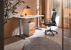 XORA E-Schreibtisch FINITO -Ambia GARDEN Shop 1254023 004