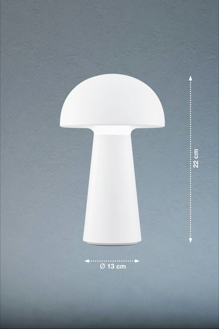 FHL Easy Tischleuchte VIGA 4 FHL Easy Tischleuchte VIGA – Bild 2